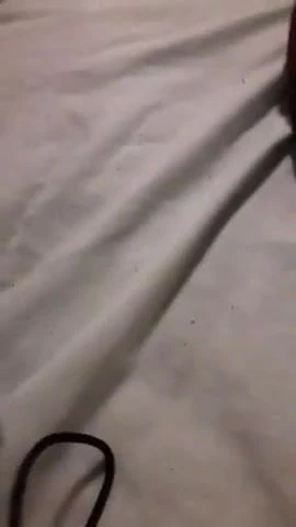 Rodneys rod