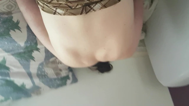 petite levrette