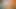 sexagent