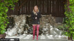 Pratonton Video