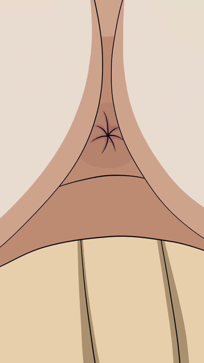 NARUTO HENTAI COMPILATION UNCENSORED VIDEO | Clip 2
