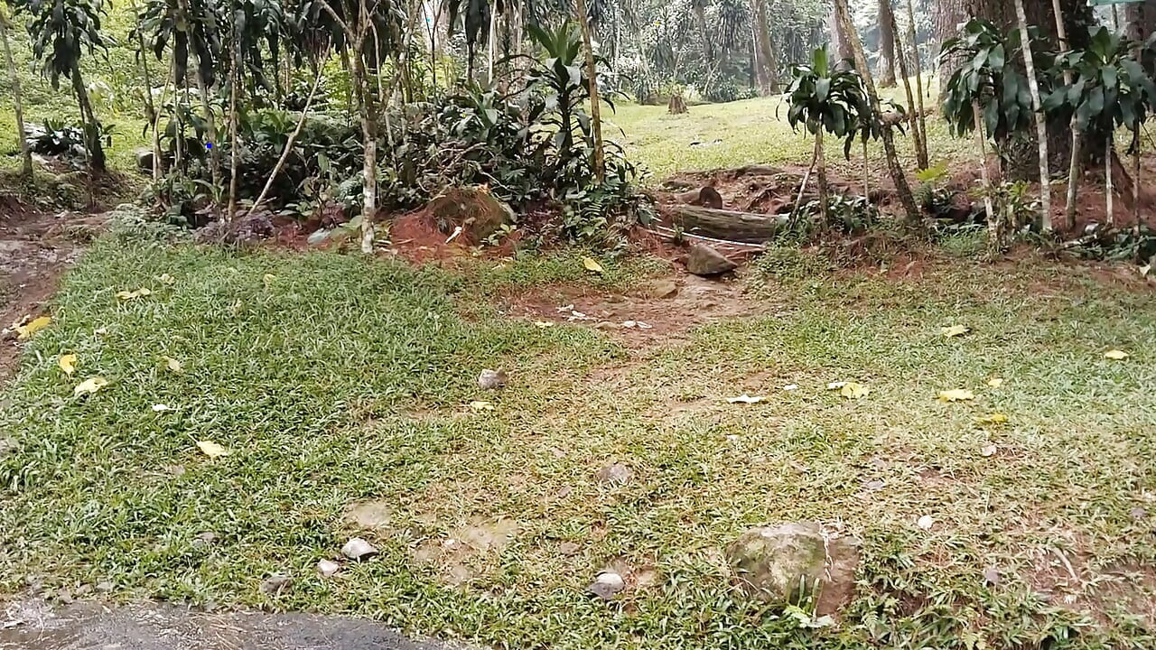 Walking to natural tourist attractions peeing in public toilets