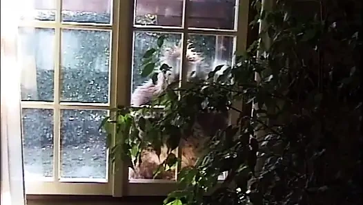 Riesiger vierer, doppelt penetrierte analparty