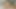 Classic Dick Rambone Cock Trying for first Time Horny Dildo Dick Rambone by Doc Johnson.