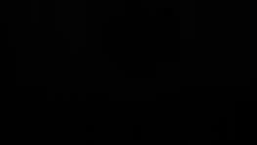 Mittags-sex am fenster