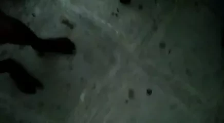 Telugu my potti
