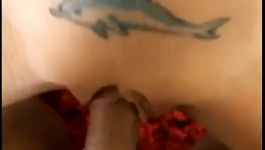 Sevimli sıkı göt sikiliyor