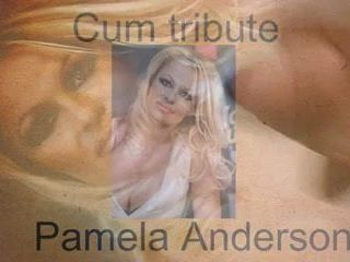 Pamela Anderson (Sperma-Tribute)