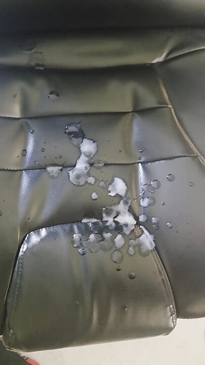 Who wanna my huge load over his face?