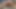 無毛の22歳が大きなお尻ときつい小さなケツであなたをからかう