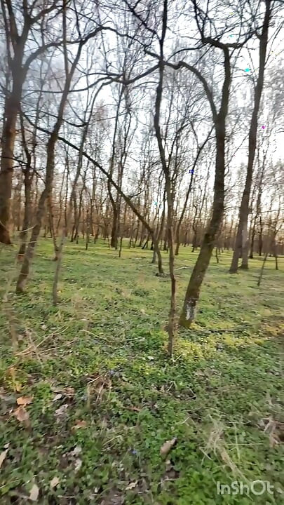 Un sexe aisé dans la forêt !