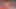 Sürtük kız odasında oynuyor! Bio'da tam video bağlantısı!