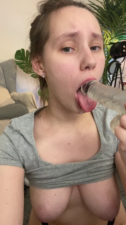 Pregled videozapisa