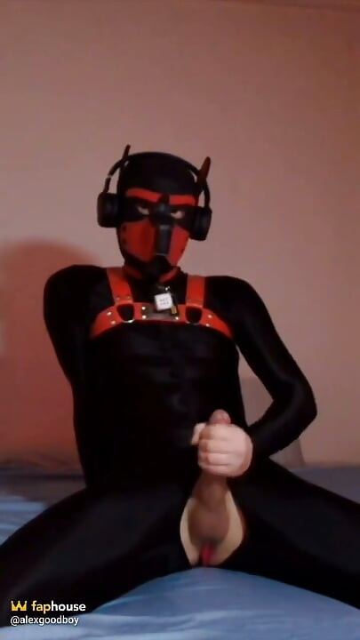 Remote Controlled Puppy Whimpers While Jerking off