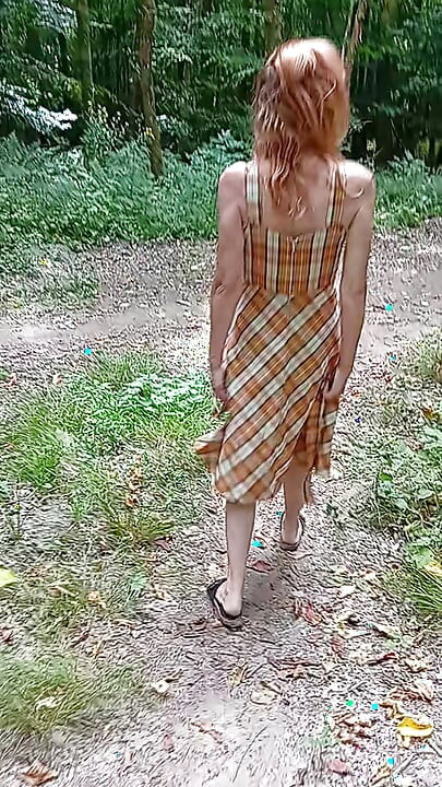 I walk in the forest 1