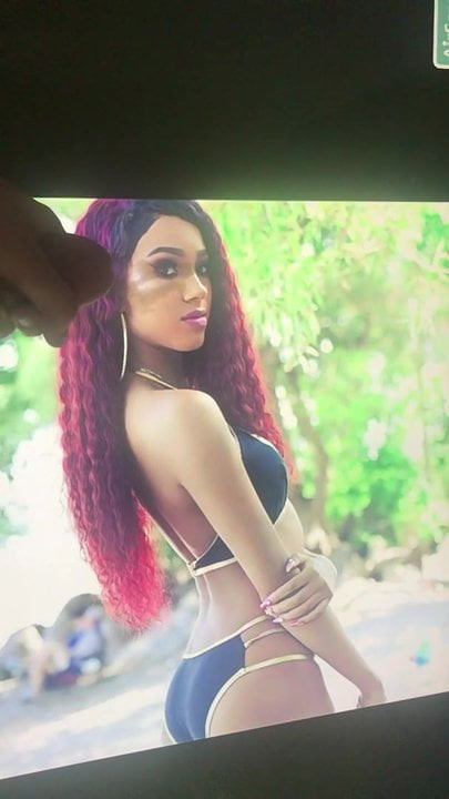 Fan cum tribute 1