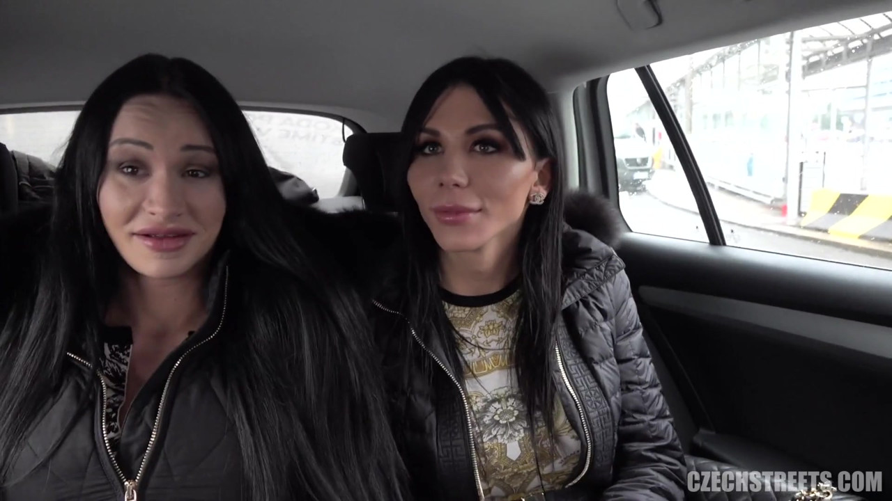 チェコの街 - ディックスとひよこ