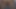 الهندي أنوتي سخيف