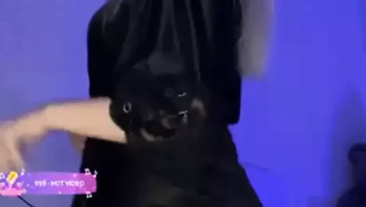 1623257268