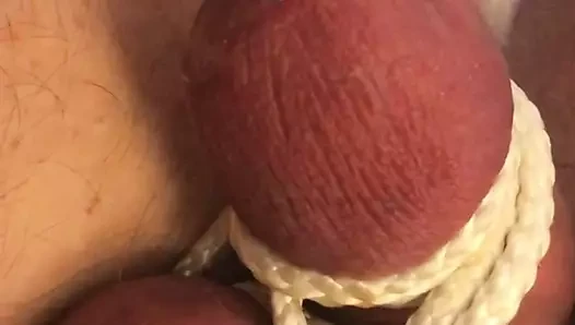 Self cbt