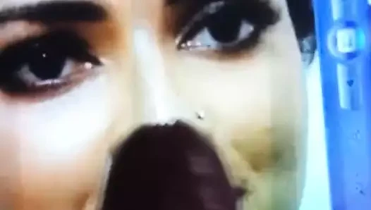 Amalapaul