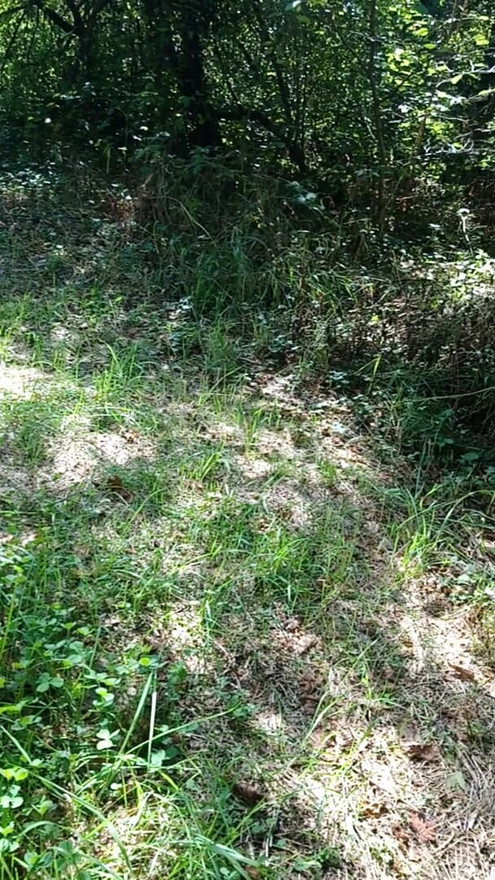 Regarde ou est ce que je me branle