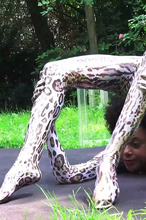 Surprise in the Glass Box