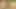 Hot orgy between tranny nymphs and chap in forest