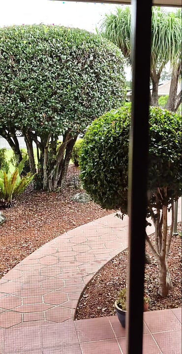 ตูดเชอร์รี่