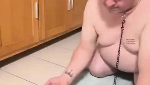 Domladymia 6 Dadu Sisi Nyeri - Bagian 1