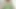 Desi girl sex India Village girls sex