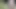 Teen boy short skirt with fishnets no pants tease, strip and masturbate in forest for daddy