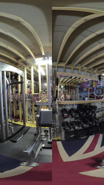 Lisa Cross - VR 2