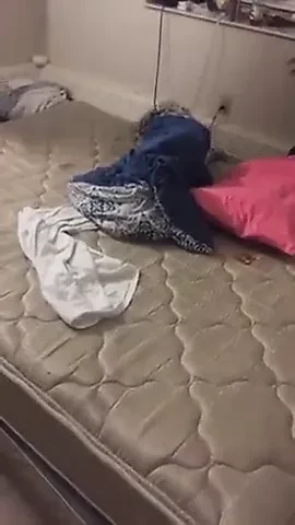 Lockdown FunNY - Oueens....Hamma (5)