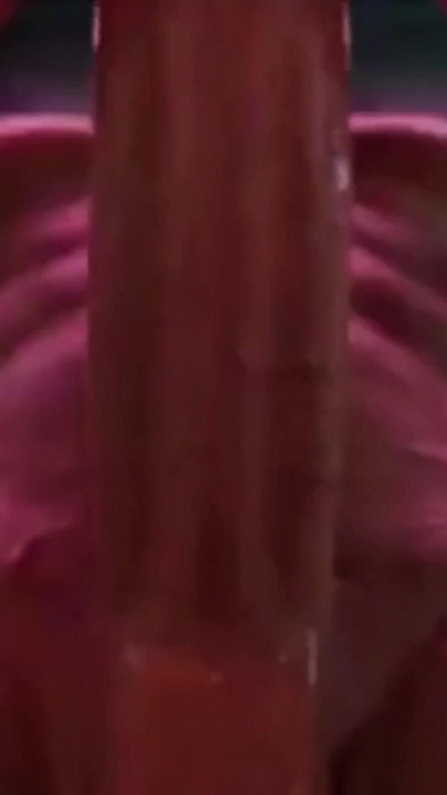 Cass x Helen - hai máy bay bà già hoạt hình hay nhất | Đoạn video ngắn 1