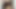 Tribute cum load diosa canales x x x