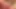 Sounding with chastity cage and masturbating