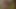 Freundlicher blowjob und sperma im kleinen arsch