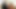 Michelle Lay recruits Bree Olson