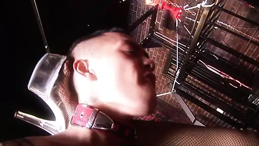 Закрытые в клетке