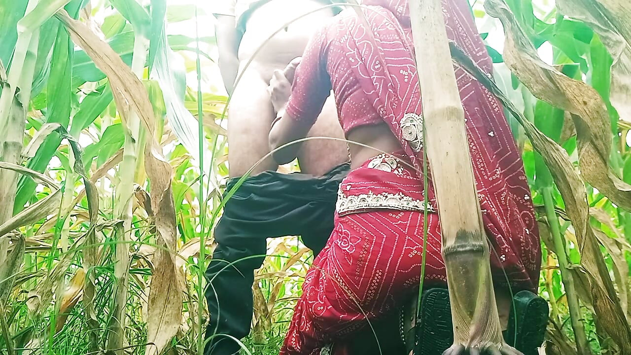 Sister-in-law sucked cock in the field and fucked hard