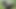 Sissy almost caught fucking dildo in the woods