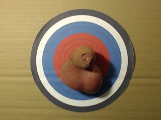 Cock used as dartboard