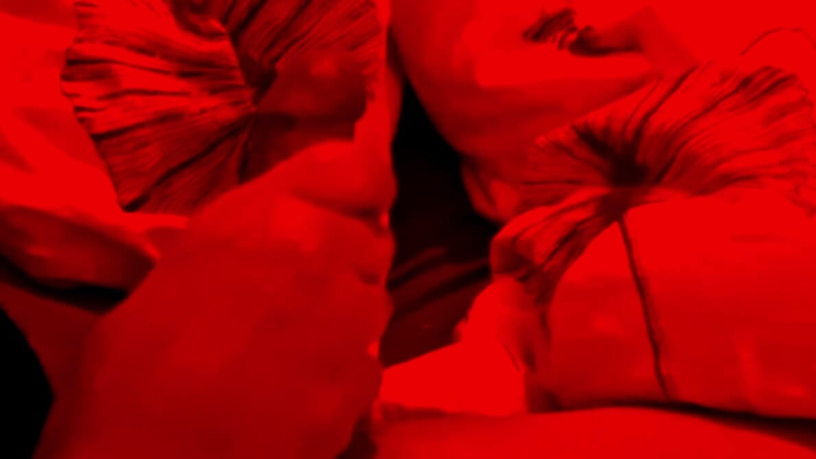 this bigdik  looking for a warm place for the whole night