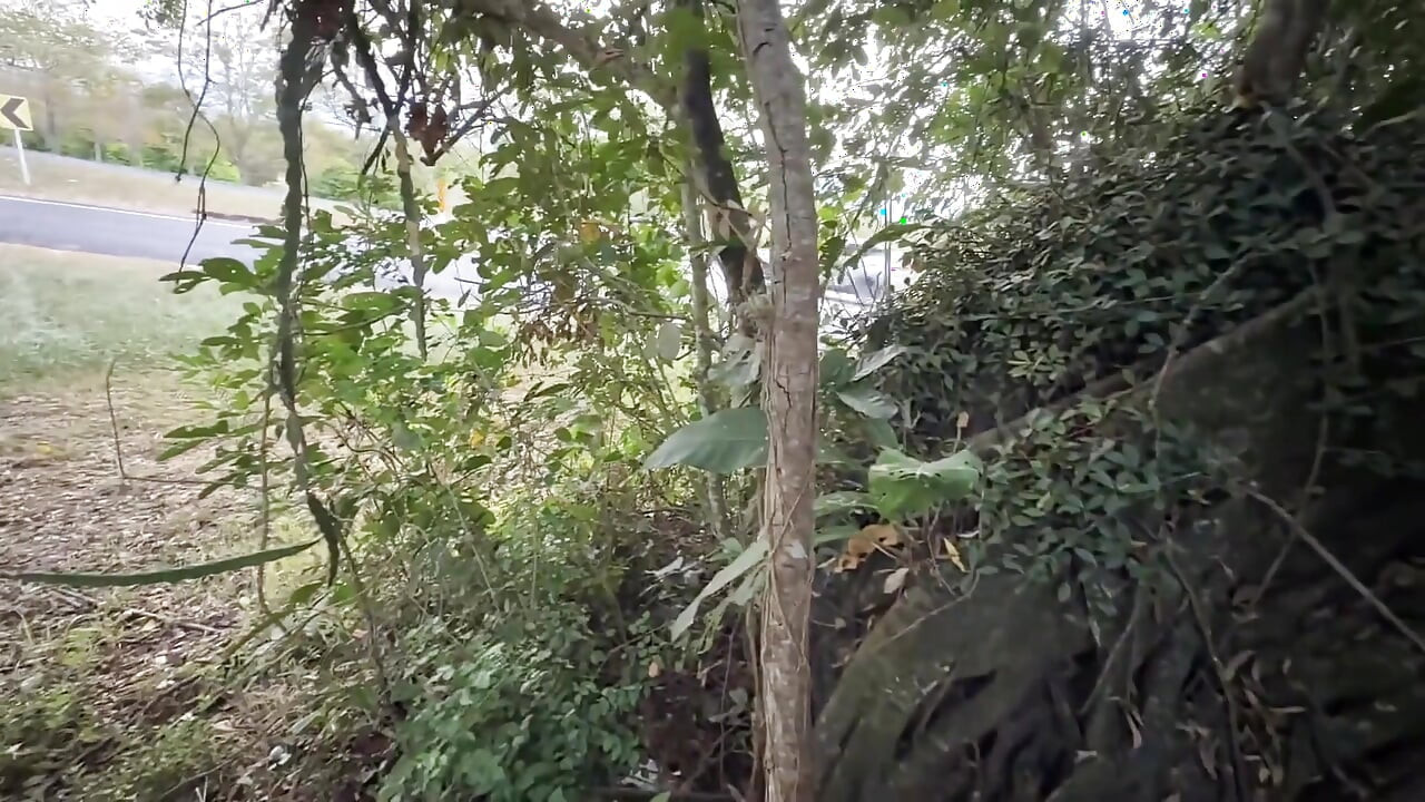 輸送業者とのアウトドア旅行