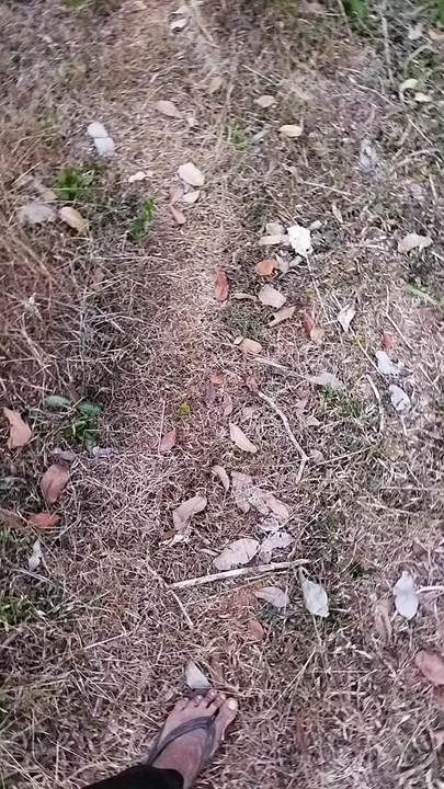 Problems with penis piercings.Part 1. Pissing outdoor, Cocky