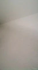 Amie