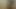 Dwt罰1