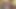 Nicole amatör olabilir ama tüm porno hareketlerine sahip