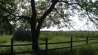 Grandma Sucks Cock and Get Wild